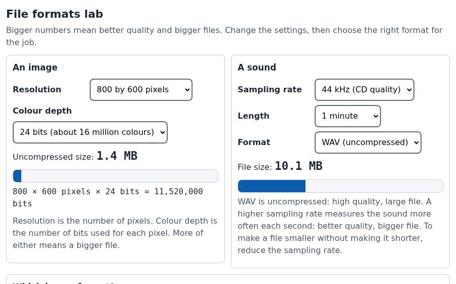 The File formats lab simulation